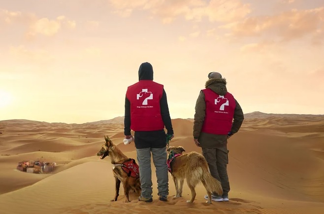 Dogs Without Borders – VMLY&R SHORTLIST (HEALTH / CANNES 2023) | Clube ...